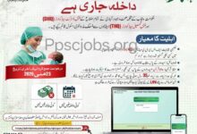 Midwife Courses 2026